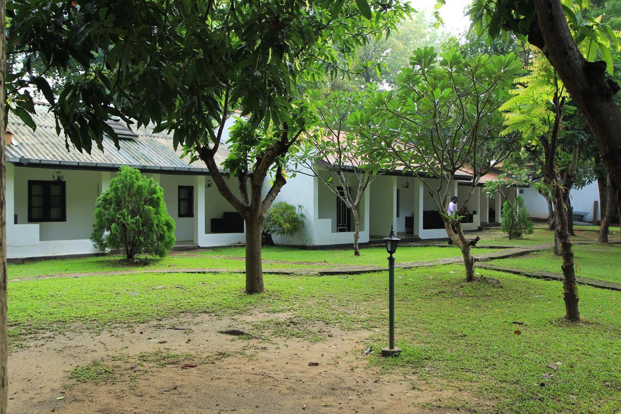 Dambulu Oya Family Park Hotel Dambulla Exterior photo