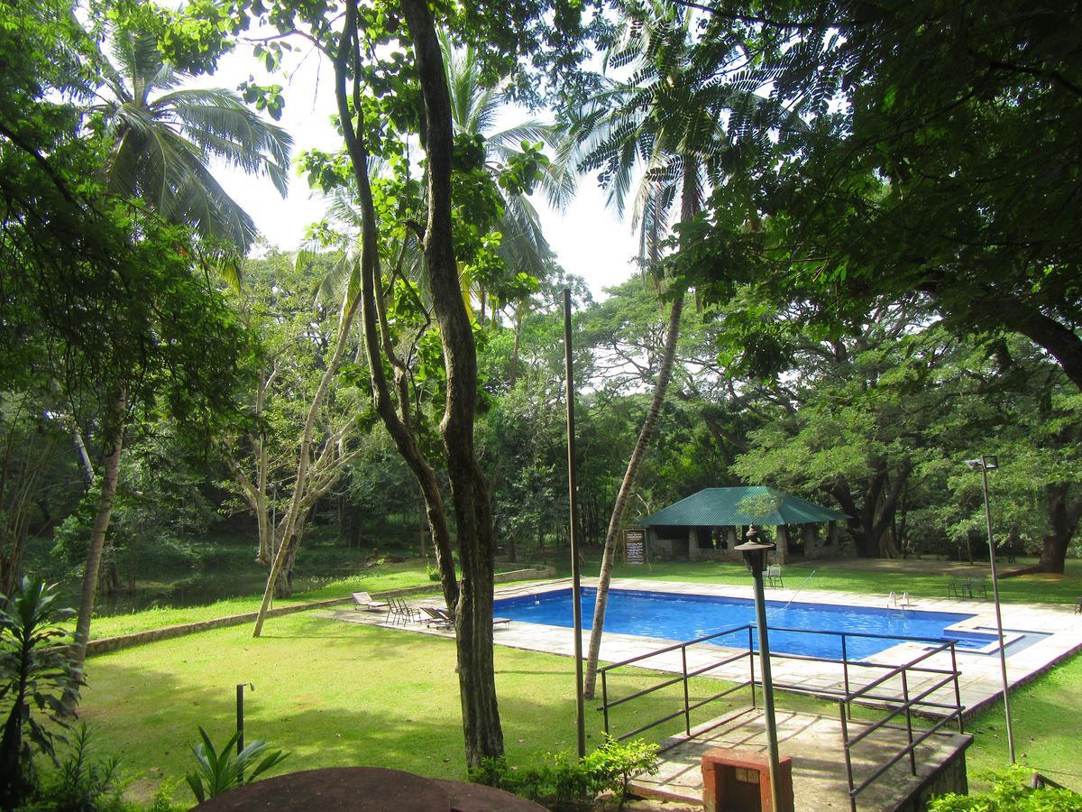 Dambulu Oya Family Park Hotel Dambulla Exterior photo