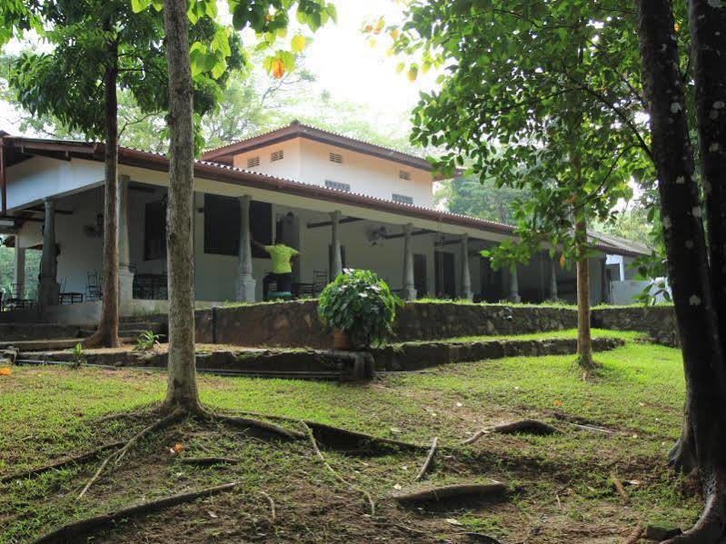Dambulu Oya Family Park Hotel Dambulla Exterior photo