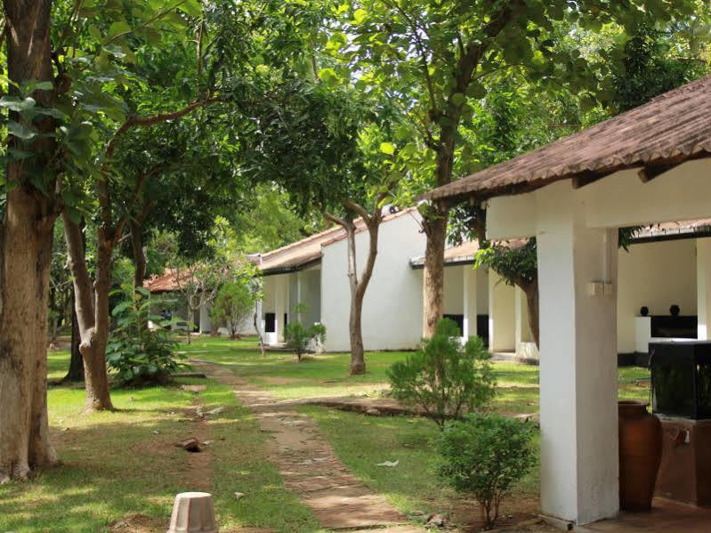 Dambulu Oya Family Park Hotel Dambulla Exterior photo