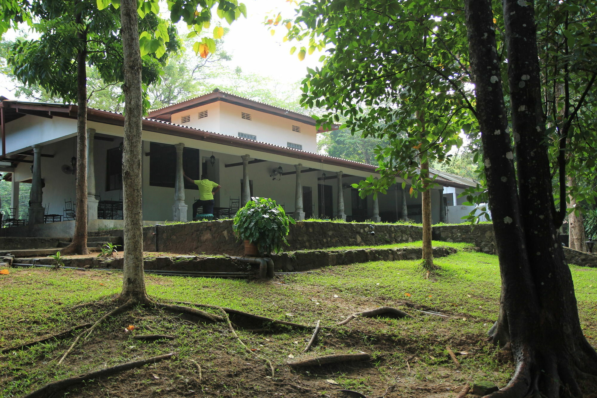 Dambulu Oya Family Park Hotel Dambulla Exterior photo