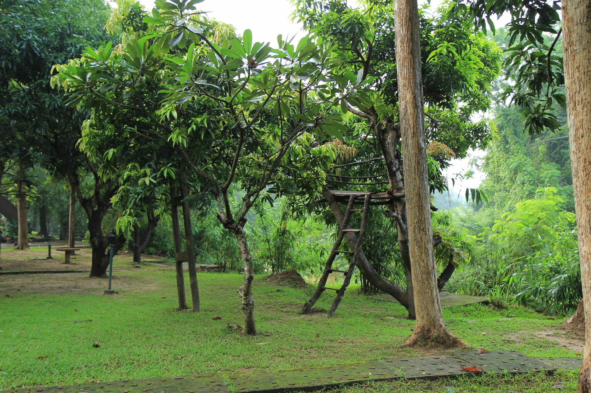 Dambulu Oya Family Park Hotel Dambulla Exterior photo